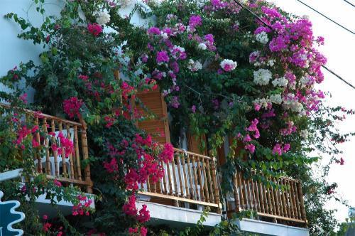 Arian Hotel Párosz Kültér fotó